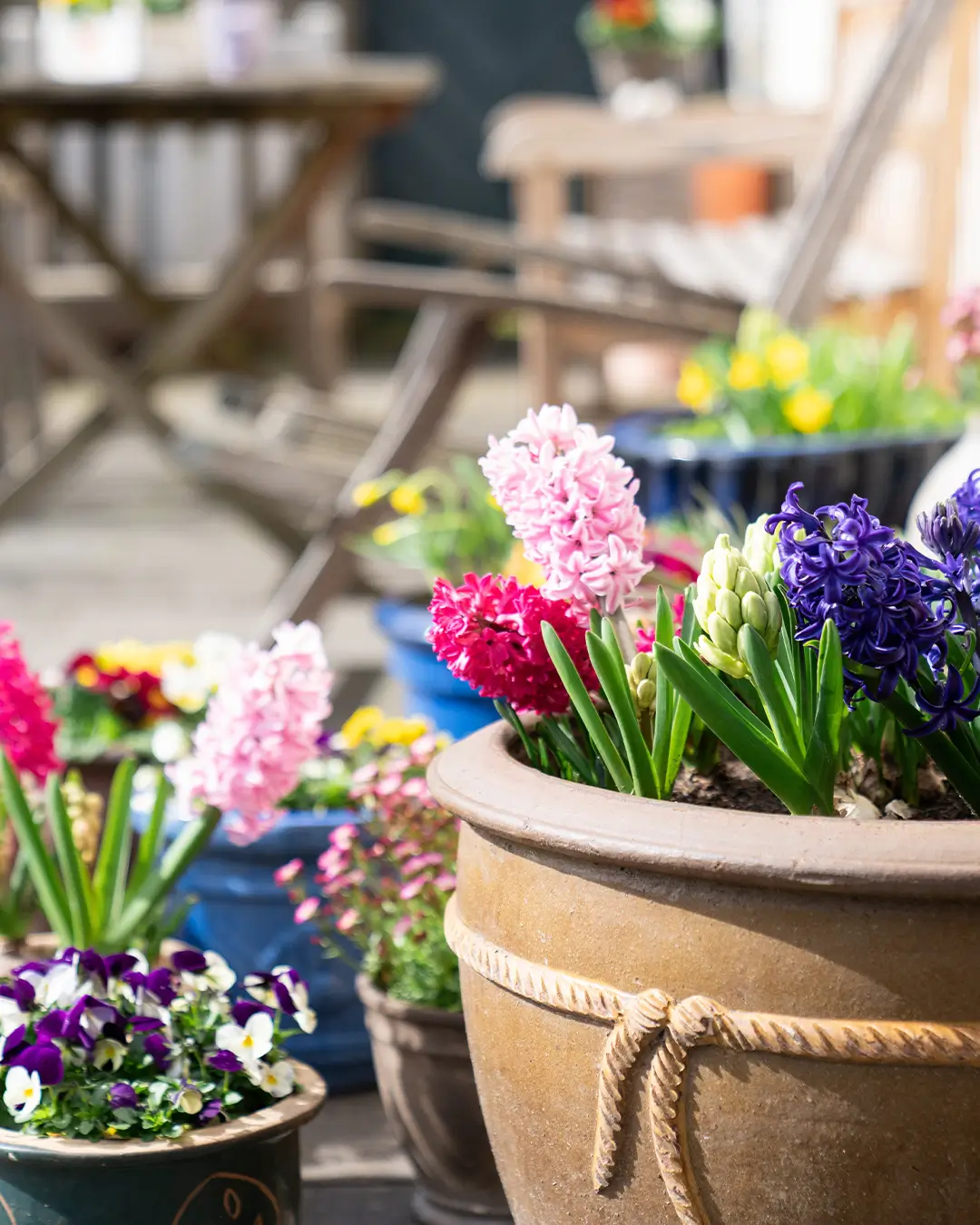 Blumentöpfe mit verschiedenen Frühlingsblumen stehen auf einem Holzboden vor einem Holztisch im Freien